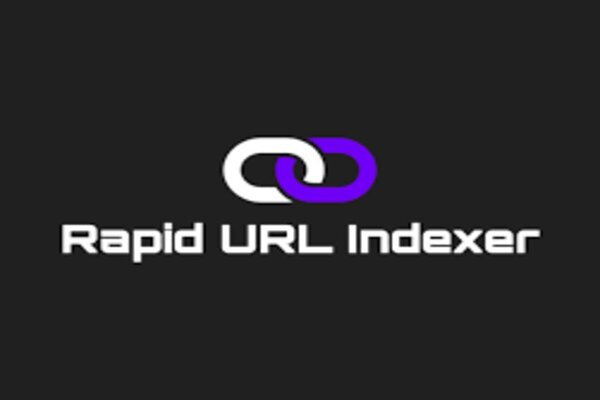 seo new york rank with rapid url indexer​